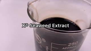 XHUMATE Ascophyllum Nodosum Natural Plant Growth Substance Organic Fertilizer Seaweed Extract [upl. by Deragon]