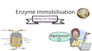 Biology Bugbears Enzyme ImmobilisationRapid exam revisionLeaving Cert Biology 2025 [upl. by Furtek740]