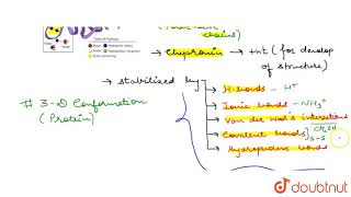 TERTIARY STRUCTURE OF PROTEIN [upl. by Cirdec]