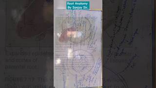 Dicot amp Monocot Root Anatomy by Sanjay Mandawariya ytshorts plantanatomy dicotroot monocot [upl. by Aivataj]