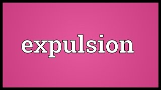 Le sale boulot des expulsions [upl. by Poppas]