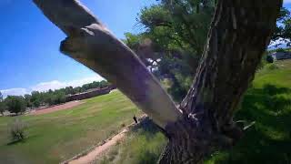 Raw FPV  Ripping the Giant Cottonwoods Part 6 [upl. by Ardnekan75]