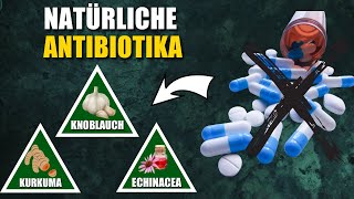 Die 8 Besten Natürlichen Antibiotika [upl. by Nochur]