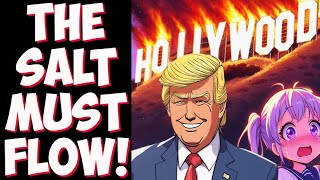 Hollywood election MELTDOWN Celebrities REACT to Trump win and vow to SELF DELETE [upl. by Dorette]