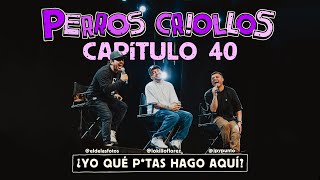 PERROS CRIOLLOS  YO QUÉ PUT455 HAGO AQUÍ CAP 40 [upl. by Disario579]