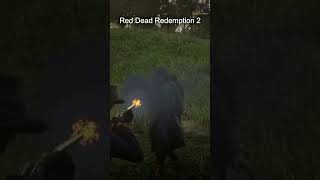 Red Dead Redemption 2 ısdonedll [upl. by Alyosha177]