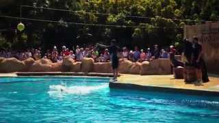 Rancho Texas Lanzarote Park Bak Films [upl. by Raouf225]