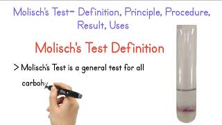 Molischs Test Definition Principle Procedure Result Uses [upl. by Goles]