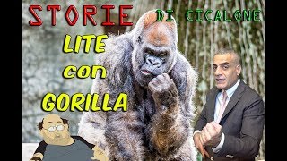 Lite con un Gorilla Vero [upl. by Asreht]