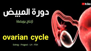 أسهل شرح لفهم الدورة الشهرية في المبايض ❤️🩸👌 Ovarian cycle ❤️ [upl. by Betsey]