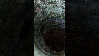 Theres A Dungeon At The Bottom Of This Well [upl. by Ithaman690]