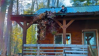 Trees growing on our roof  CABIN LIVING IN THE NORTH WOODS [upl. by Thorpe]