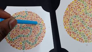 Colour Blindness Test for ALP Guard Station Master etc in Railway [upl. by Anairo656]