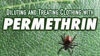 Permethrin  Diluting and Treating Clothing [upl. by Vanden]