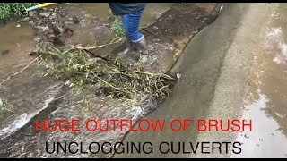 unclogging culvertsbeaver dam breakupmassive outflow 61223 [upl. by Syah]