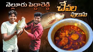 నెల్లూరు పెద్దారెడ్డి చేపలపులుసు🤤🤤🐟giftsofthenature village nellorechepalapulusu bigfishcurry [upl. by Gerrie472]