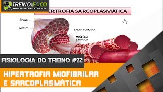 Hipertrofia Miofibrilar e Hipertrofia Sarcoplasmática  Fisiologia do Treino 22 [upl. by Eanal151]