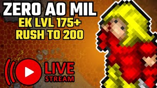 Tibia FAST UP  Knight 175  rumo ao 200  Ek Do zero ao Mil [upl. by Damour514]