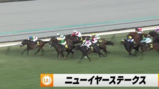 【2024】ニューイヤーステークス 中山競馬場11R｜ウイニング競馬 2024年1月13日（土） [upl. by Nywloc]