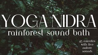 Yoga Nidra Nature Meditation [upl. by Lenz76]