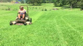 Grasshopper 430D72quot4X Rear discharge Diesel Zero Turn mower [upl. by Aynuat]