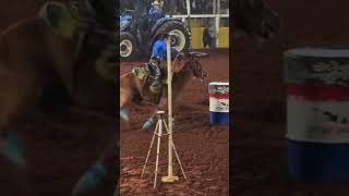 a very good connection between the horse and the girlhorse caballos rodeo horsesports riding [upl. by Pengelly]