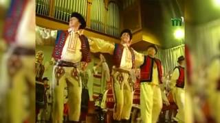 TRANSCARPATHIAN DANCE Honored Academic Transcarpathian Folk Choir [upl. by Kane904]