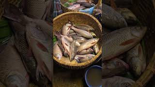 Fresh fish cholonbil authentic viralvideo [upl. by Anelys]