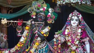 Sri Sri Radha Madhava Aastasakhi Devine Darshan 🌸 150924 💗 MayapurTVOfficial harekrsna [upl. by Dlaner]