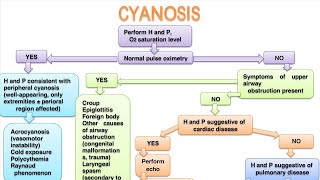 CYANOSIS In pediatrics [upl. by Windzer935]