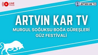 🐂 MURGUL SOĞUKSU BOĞA GÜREŞLERİ 1GÜZ FESTİVALİ 🎥 [upl. by Sabir]