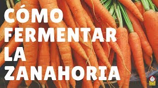 Cómo fermentar palitos de ZANAHORIA una receta muy buena para niños [upl. by Antons]