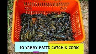 10 BEST YABBIES RED CLAW BAITS TO CATCH MORE FISHING AUSTRALIA YABBY CATCH AND COOK [upl. by Nezah]