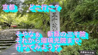 京都駅から大原三千院・実光院・勝林院・瑠璃光院から京都駅までスムーズに観光する。を考えてみました。【京都観光・京都旅行Vlog・一人旅】Kyoto trip [upl. by Proudlove263]