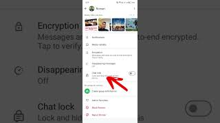 Chat 💀☠️ SECRETLY ☠️💀in WhatsApp  WhatsApp Chat Lock 🥷🥷🥷 [upl. by Rutledge]