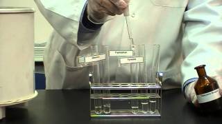 Ninhydrins test Part 2 Identification of Proteins or Amino Acids [upl. by Outhe162]