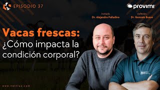 37  Vaca Fresca ¿Cómo impacta la condición corporal  Dr Alejandro Palladino [upl. by Houston646]