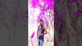 Phool ka khubsurat jawab 🌻🌹phool shortsvideo trending youtubeshorts shortvideo sukibhaitoto [upl. by Eniac]