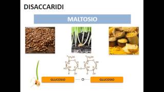 Le biomolecole i carboidrati [upl. by Eentroc728]