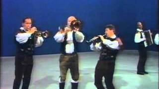 Slovenski muzikantje  Bohinjska Koracnica 1987 [upl. by Araldo]