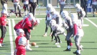 MRFL Mosquito U11 3 Lakeshore Cougars vs 6 NS RoughRiders 🔥🔥 CRAZY ENDING🔥 2024 1st Round Playoff [upl. by Dessma]