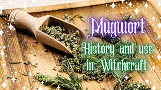 Mugwort in Witchcraft  Psychic Growth Astral Projection [upl. by Attenyt]