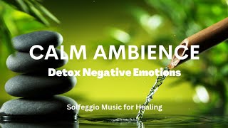 Soothing Music To Ease Anxiety And Banish Negative Feelings JoannePalfrey joaocaetan0 [upl. by Solomon375]