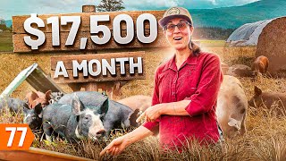 Starting a 188Kyear Pig Farm Business from Scratch [upl. by Nagorb]