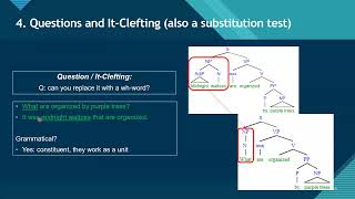 How to Do Constituent and Complement Tests [upl. by Amorita106]