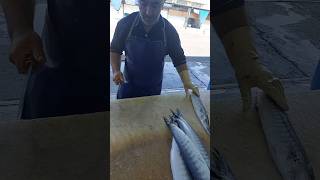 Easiest way to clean small barracuda fish fishcuting [upl. by Ahsak]