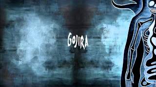 Gojira  Vacuity [upl. by Infeld151]