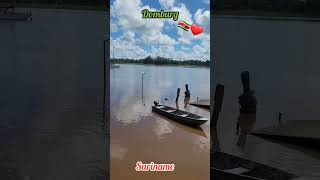 Greetings from Domburg Suriname [upl. by Osicnarf]