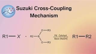 Suzuki CrossCoupling Mechanism  Organic Chemistry [upl. by Nennahs986]