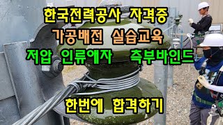 한국전력공사 가공배전 자격증 시험 저압인류애자측부바인드 한번에 합격하기 [upl. by Franciscka507]